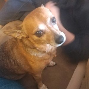 Meet your Posher, Penny